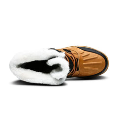 67053815595349